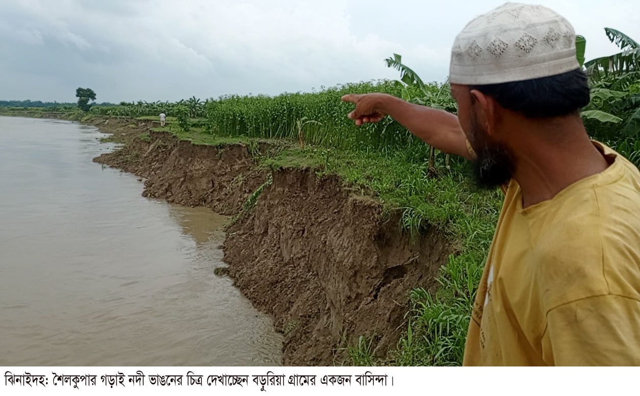 বর্ষার শুরুতেই তীব্র হচ্ছে গড়াইয়ের ভাঙন অব্যাহত ভাঙনে মানচিত্র থেকে হারাতে বসেছে ঝিনাইদহের শৈলকুপার বড়রিয়া গ্রাম